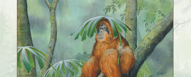 About Habitats Forests