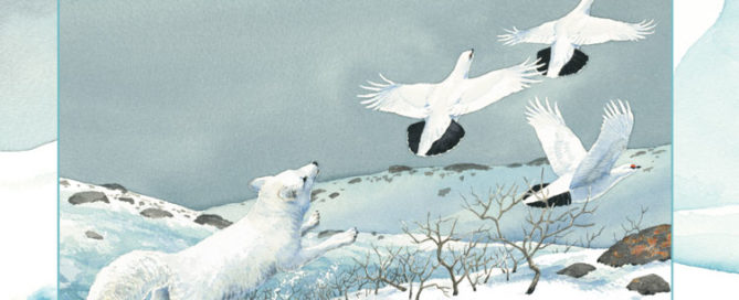 About Habitats Polar Regions