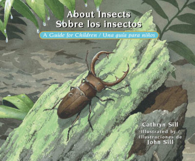 About Insects Sobre los insectos