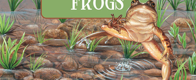 A Place for Frogs