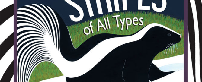 Stripes of All Types