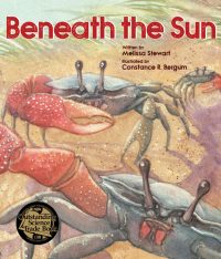 Beneath the Sun PB