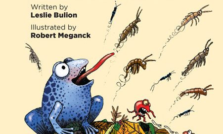 Leaf Litter Critters