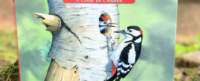 About Woodpeckers