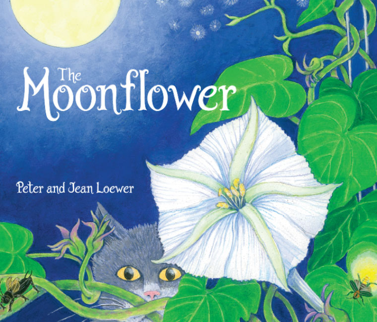 Moonflower Revised