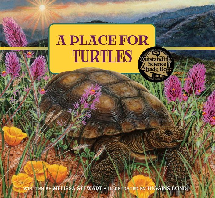 Place for Turtles Revised