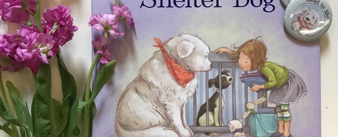 Madeline Finn Shelter Dog