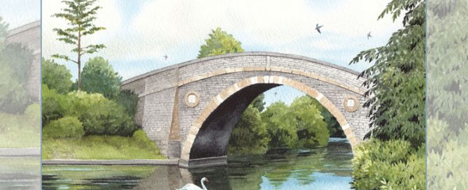 About Habitats Rivers and Streams