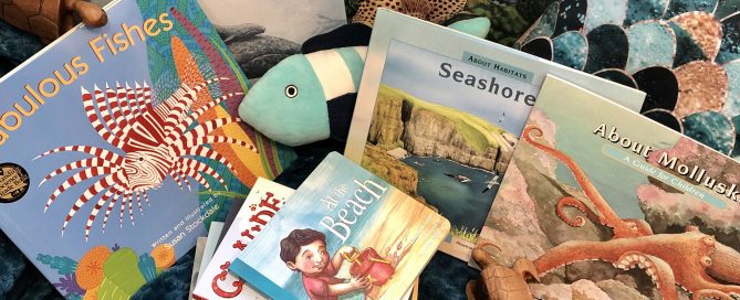 Ocean Beach Books for Summer