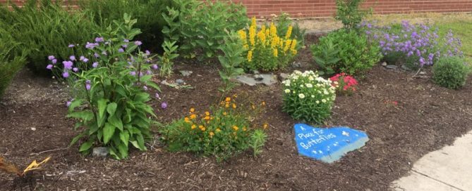 Wildlife garden Center School Stow MA