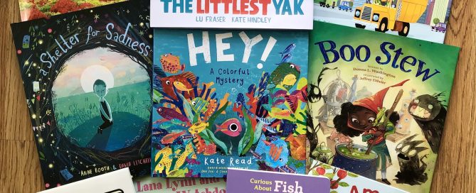 Fall Picture_Board Books